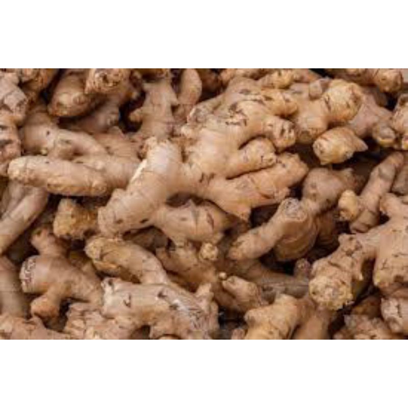 

jahe segar kemasan 1kg