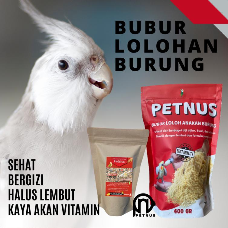 makanan lolohan burung paruh bengkok falk parkit australia