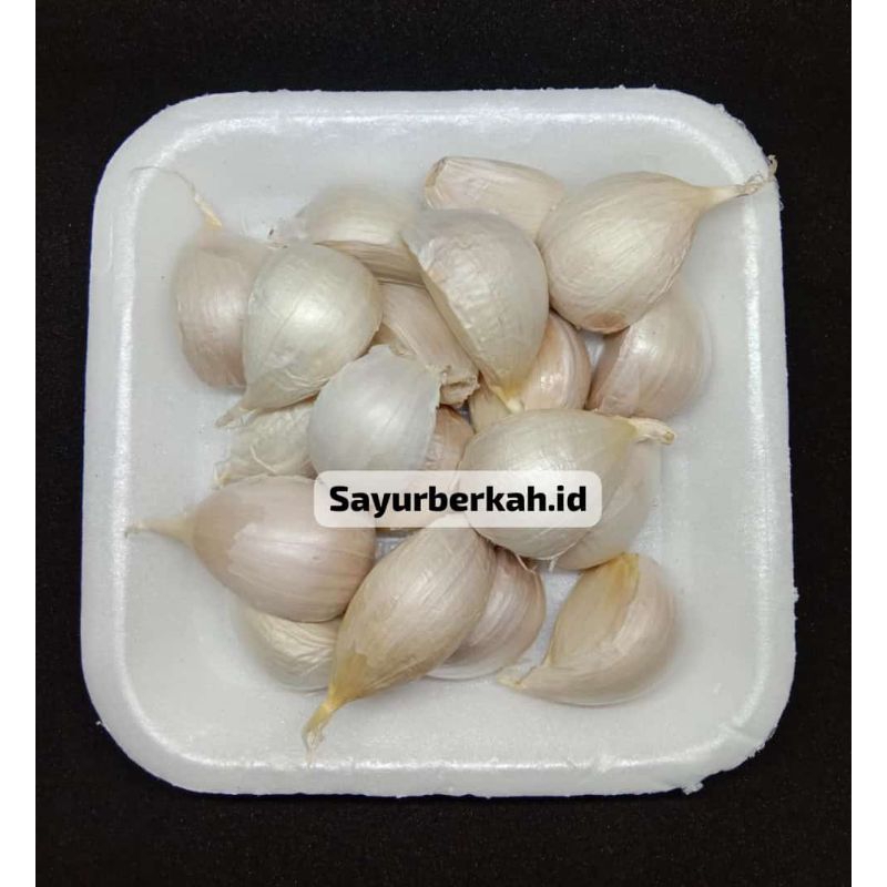 

Bawang Kating / Bawang Putih Kating