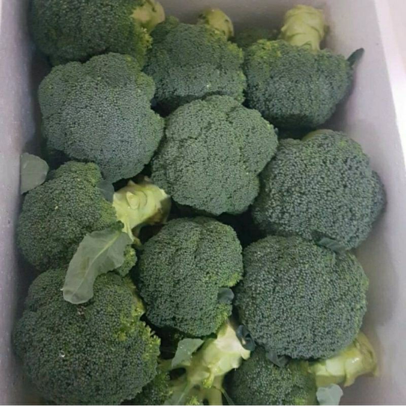 

Brokoli import - Broccoli ( Aussie ) 500 gr