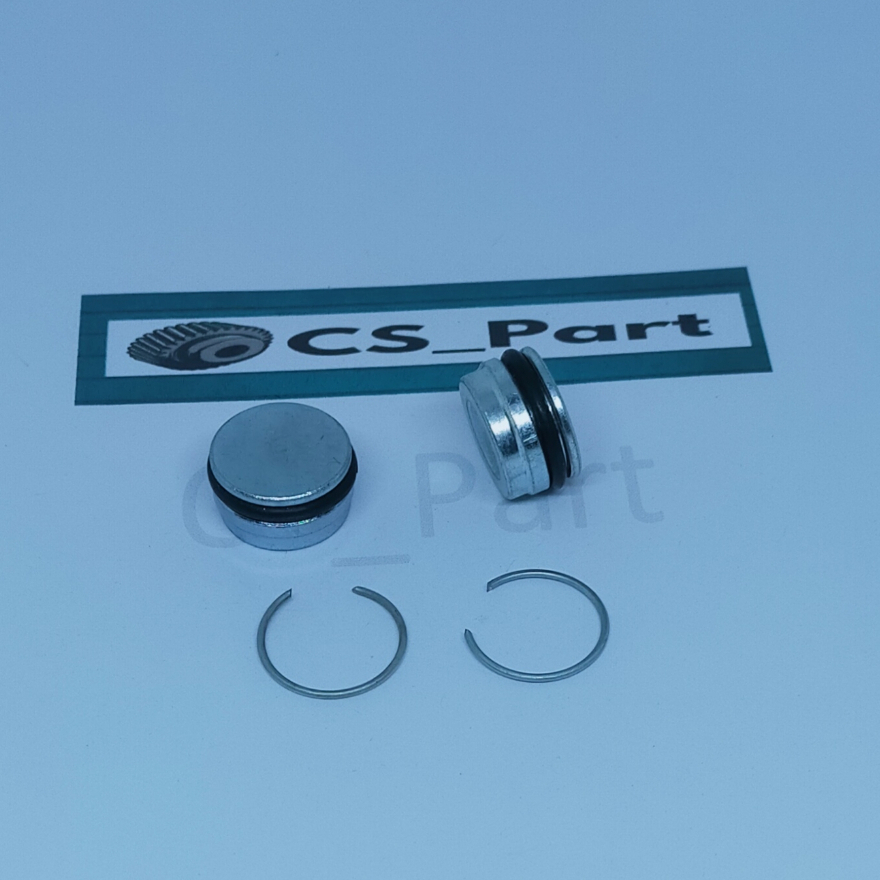 Sepasang Baud Baut Tutup As Shock Depan Scoopy New Beat FI