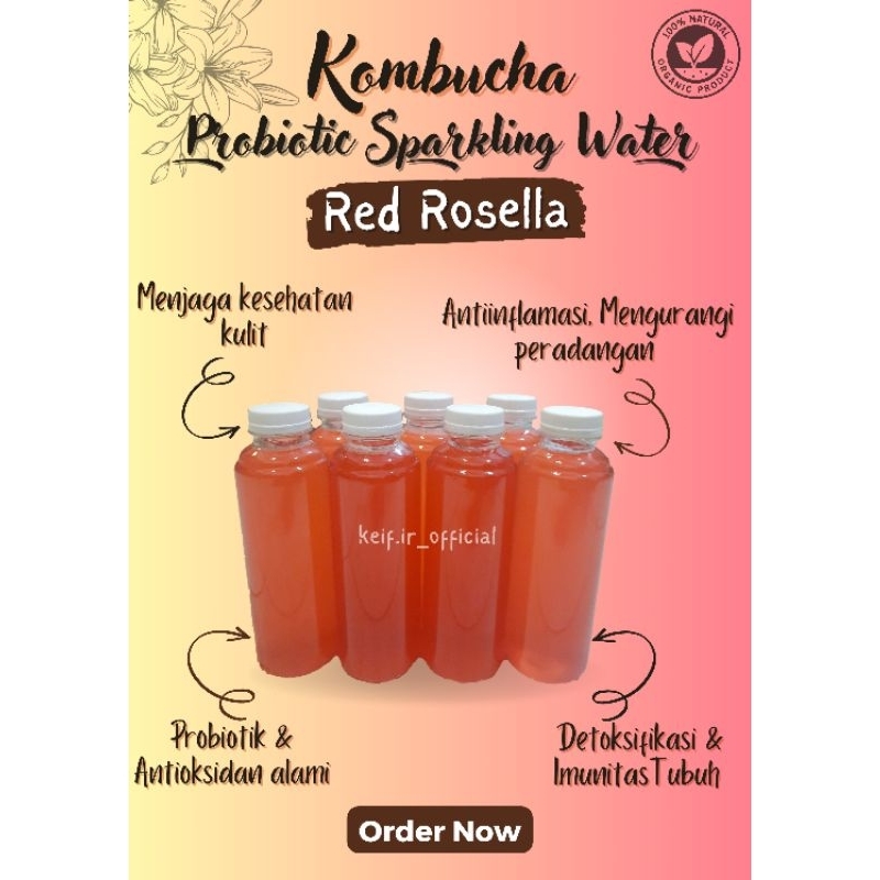 

KOMBUCHA, Probiotik Sparkling Water, RED ROSELLA 250ml