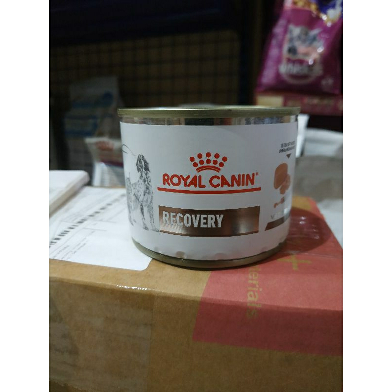 Royal Canin recovery kaleng wet food kucing anjing