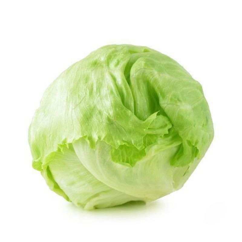 

Head Lettuce | Selada Iceberg | Selada Salad 500gr| naga_exspress