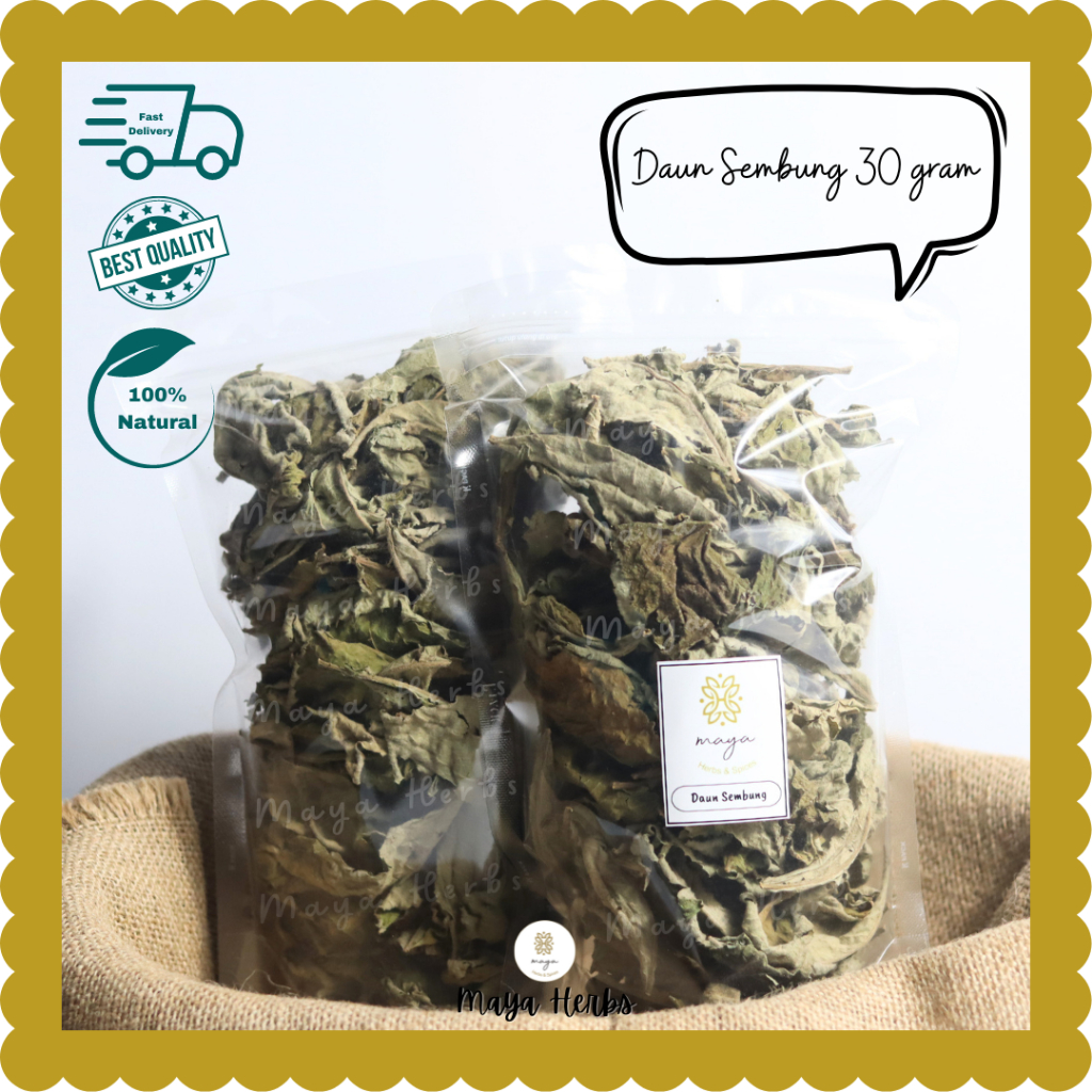 

LAKU Daun Sembung Kering 30 Gram ( Blumea Balsamifera )