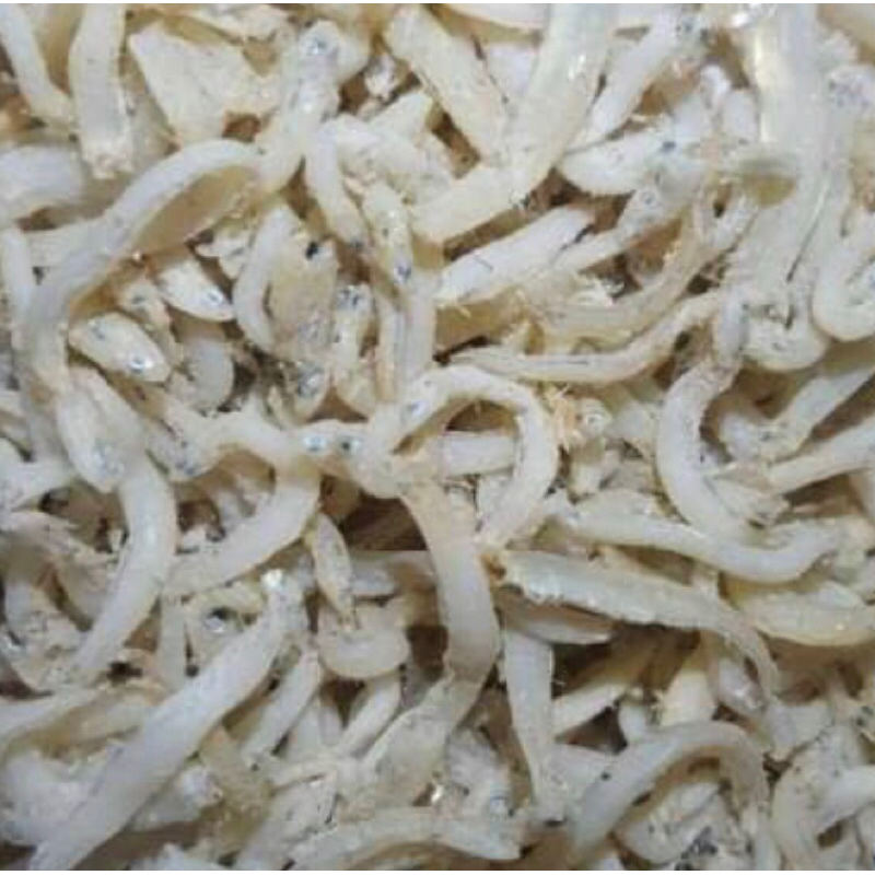 

TERI MEDAN FRESH 1ONS