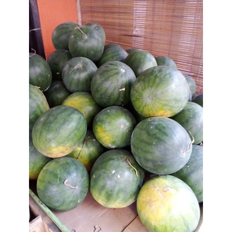 

semangka presh perbutir ukuran berat 2,5-2,8kg atau lebih