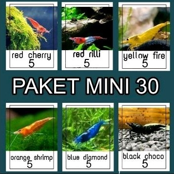 paket mini udang hias aksesoris hiasan aquarium