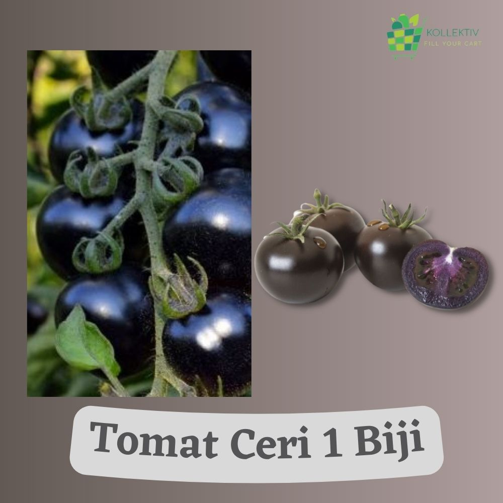 Bibit Tomat Ceri Hitam / Benih Sayuran