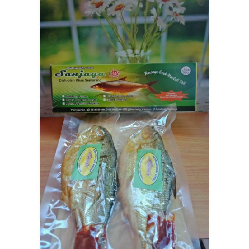 

Bandeng Presto Sanjaya
