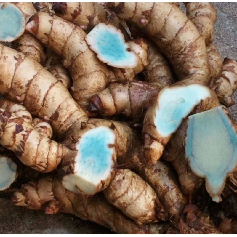 

TEMU IRENG ORGANIK 250g