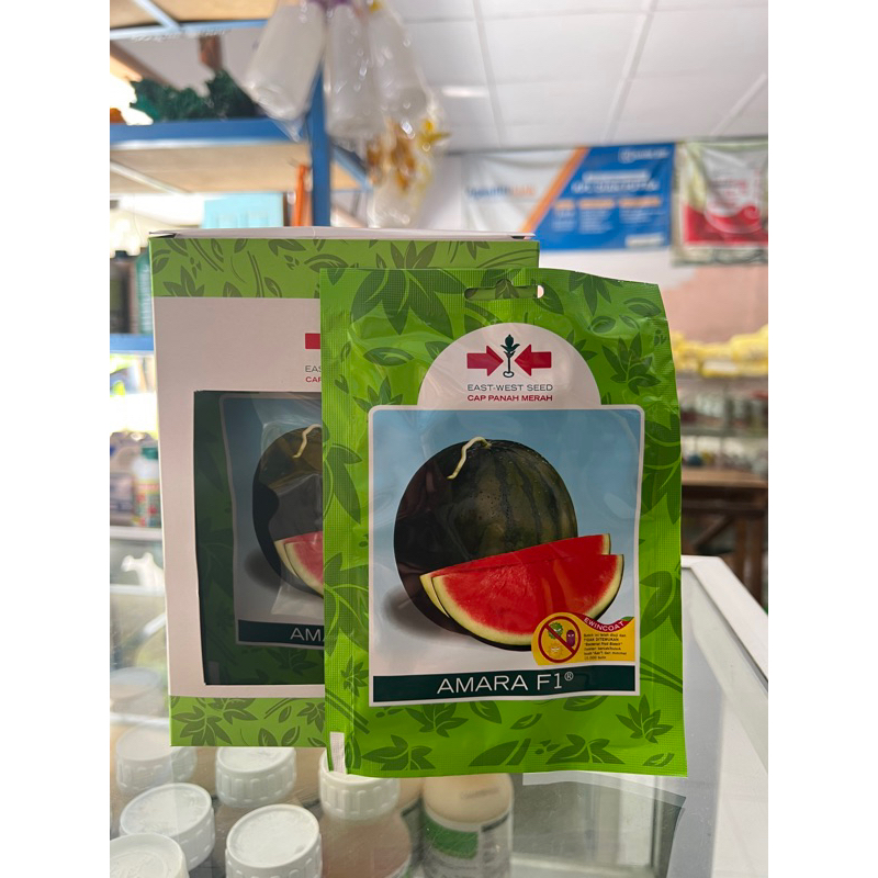BENIH SEMANGKA AMARA F1