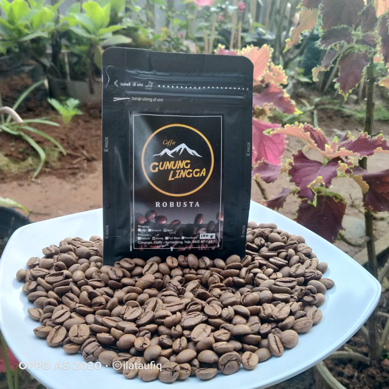 

Kopi Gunung Lingga - Robusta - Kopi Asli Cimarga