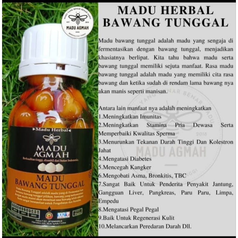 

Madu Agmah Bawang Tunggal