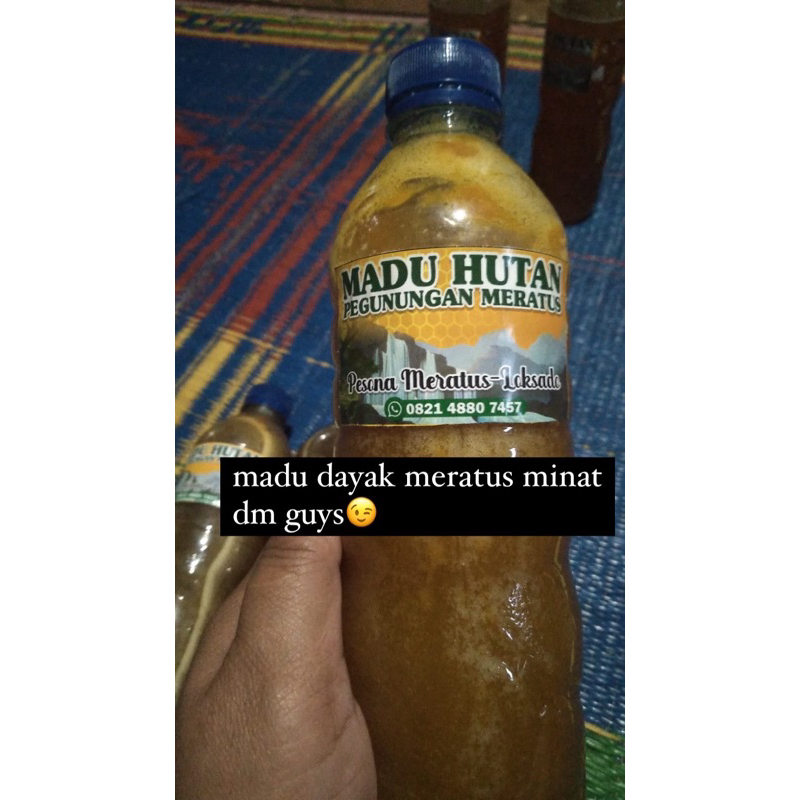 

madu hutan asli dayak meratus