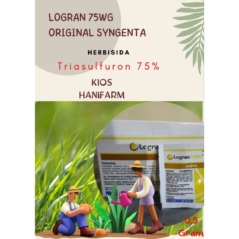 Hebisida pembeku Biji Logran 75WG Pra Tumbuh original Syngenta