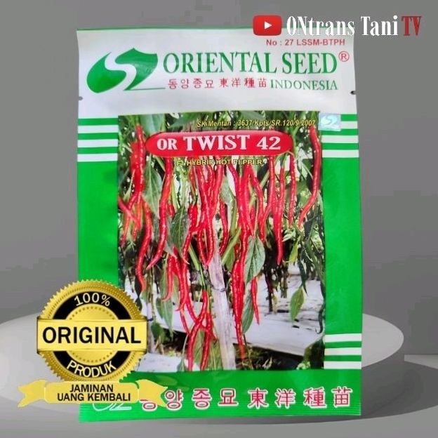 Benih Cabe OR42 / OR TWIST 42 F1 hybrid pepper (ori 100%)