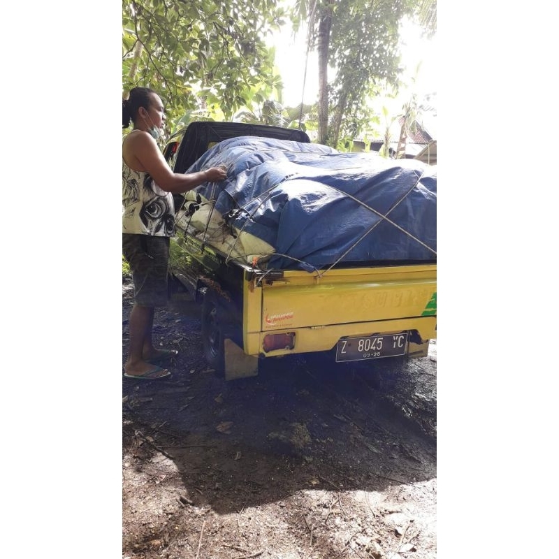 pupuk organik kohe kelelawar original GUANO / kilo gram