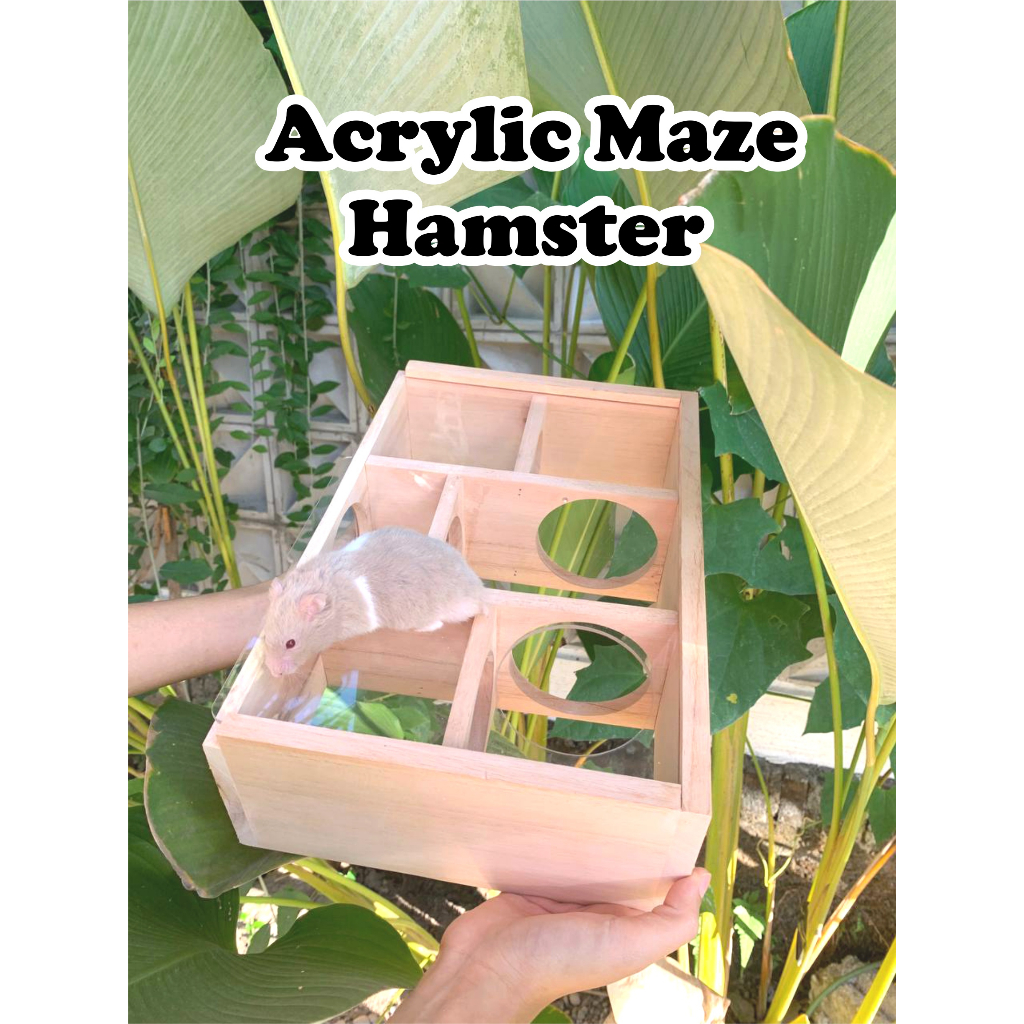 Labirin Hamster Terowongan Hamster Acrylic Maze Hamster