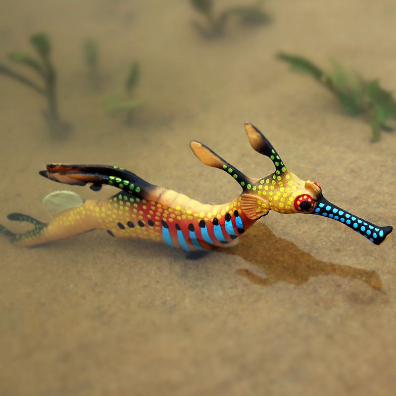 PHYLLOPTERYX TAENIOLATUS Naga Laut Rumput hewan laut kuda laut