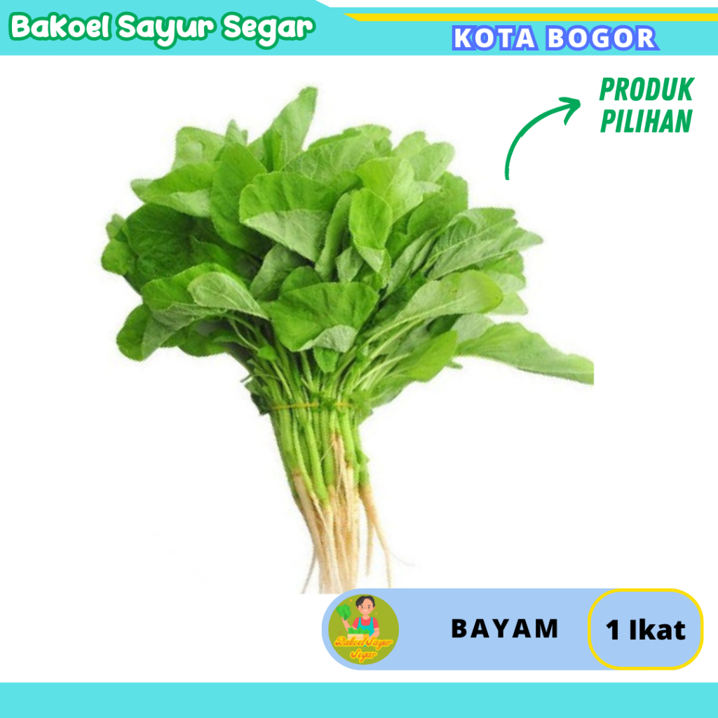 

Bayam Perikat Sayuran Segar Fresh Sehat Setiap Hari Kota Bogor