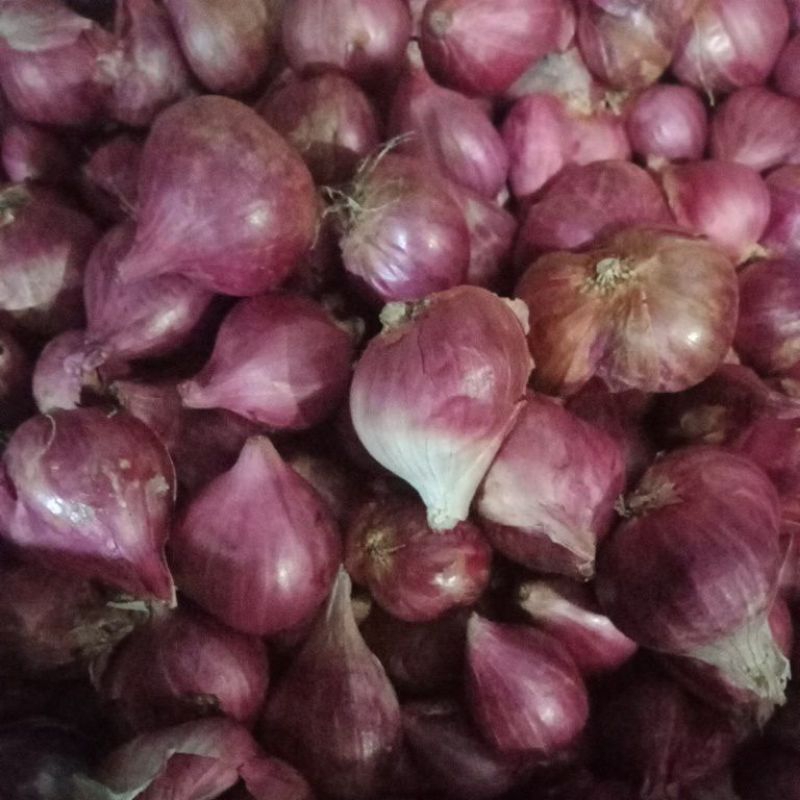 

Bawang Merah1kg