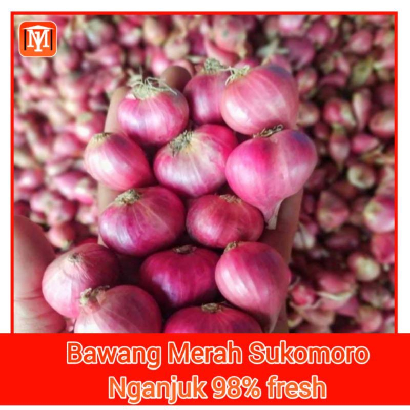 

Bawang Merah Sukomoro Nganjuk