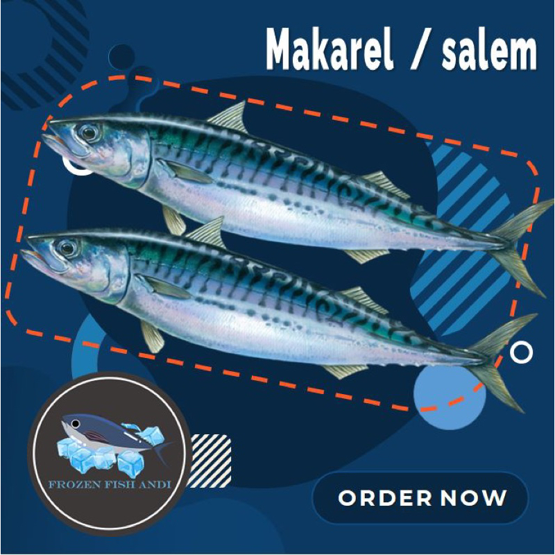 

makanan seafood murah Ikan salem iqf makarel segar