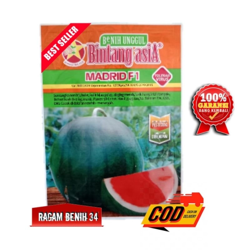 Benih Semangka Madrid F1 20 Gram - Cap Bintang Asia