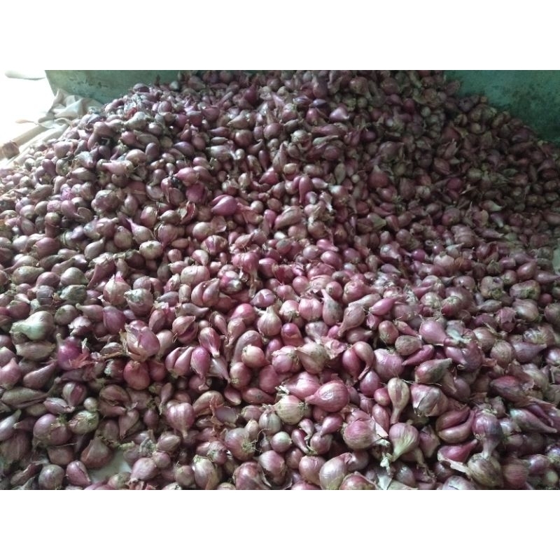 

bawang merah Brebes 1kg