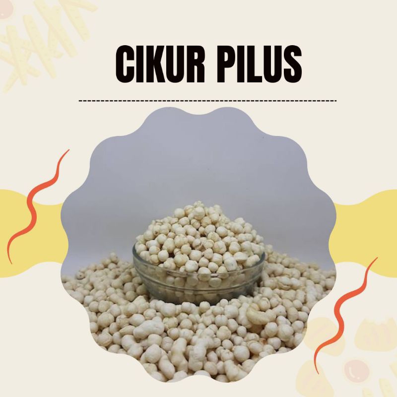 

PILUS SUKRO CIKUR KENCUR Termurah !!khas garut