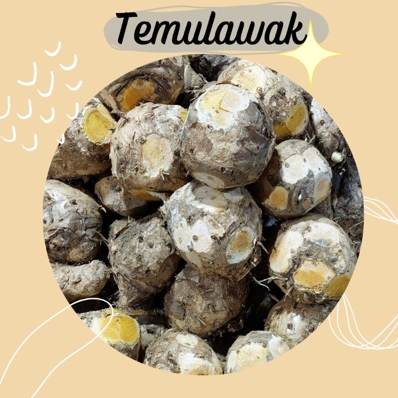 

Temulawak ½ kg