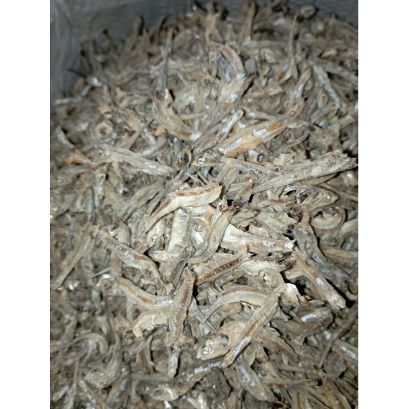 

Ikan Teri