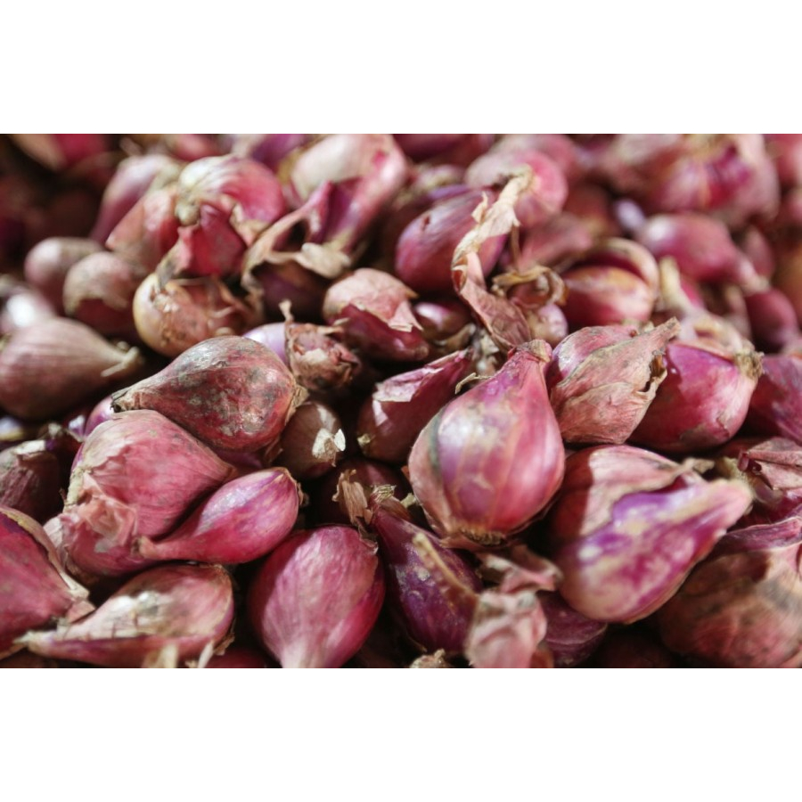 

Bawang Merah Brebes Promo Ukuran Kecil 1kg