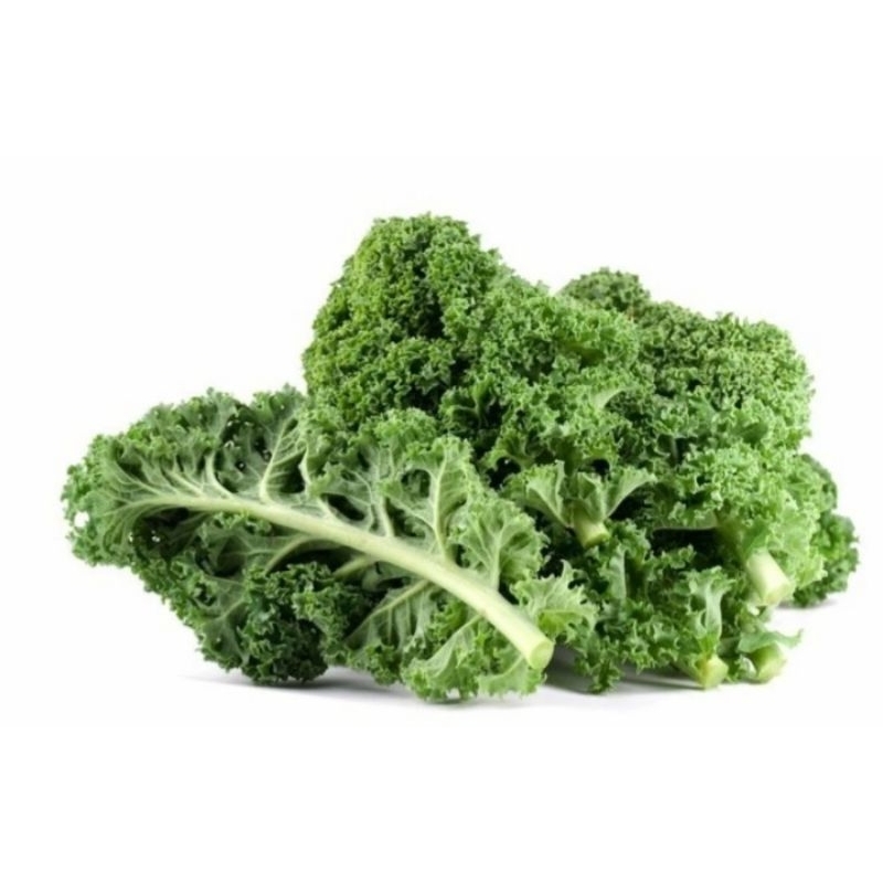 

Kale Curly Organik 100gr