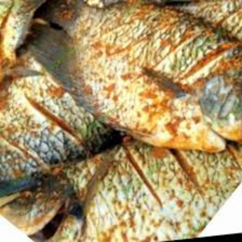 

Ikan gurame ungkep bumbu kuning dadakan by order fresh segar siap goreng per ekor