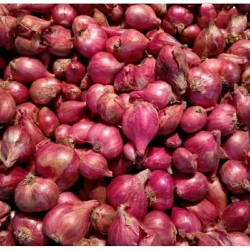 

Bawang Merah PROBOLINGGO Super Kering 1KG
