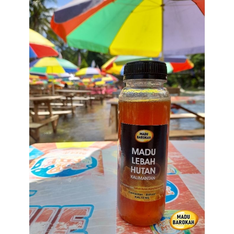 

MADU LEBAH HUTAN KALIMANTAN ( MADU BAROKAH )
