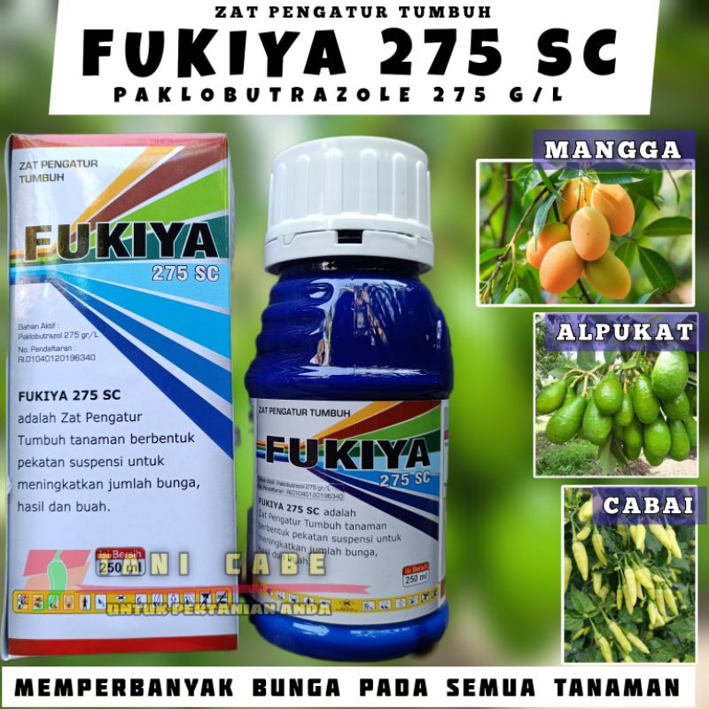 FUKIYA 275 SC -original perangsang bunga dan buah
