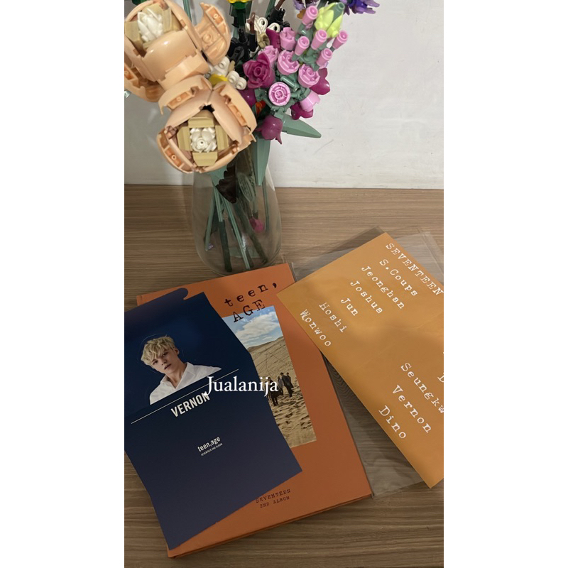 [Ready Preloved] Seventeen Teen Age Dino photocard