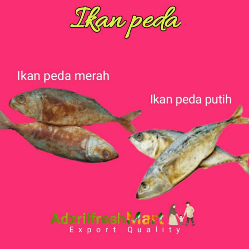 

IKAN PEDA MERAH DAN IKAN PEDA PUTIH PER SATU EKOR