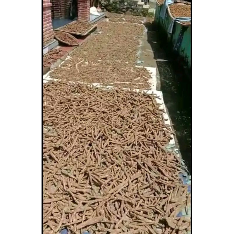 

klembak utuh