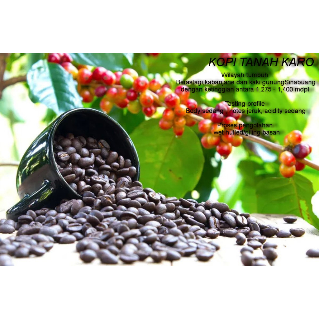 

Sab'a Coffee Tanah Karo ARABIKA Bubuk Kopi 250 Gram