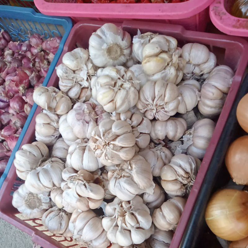 

bawang putih