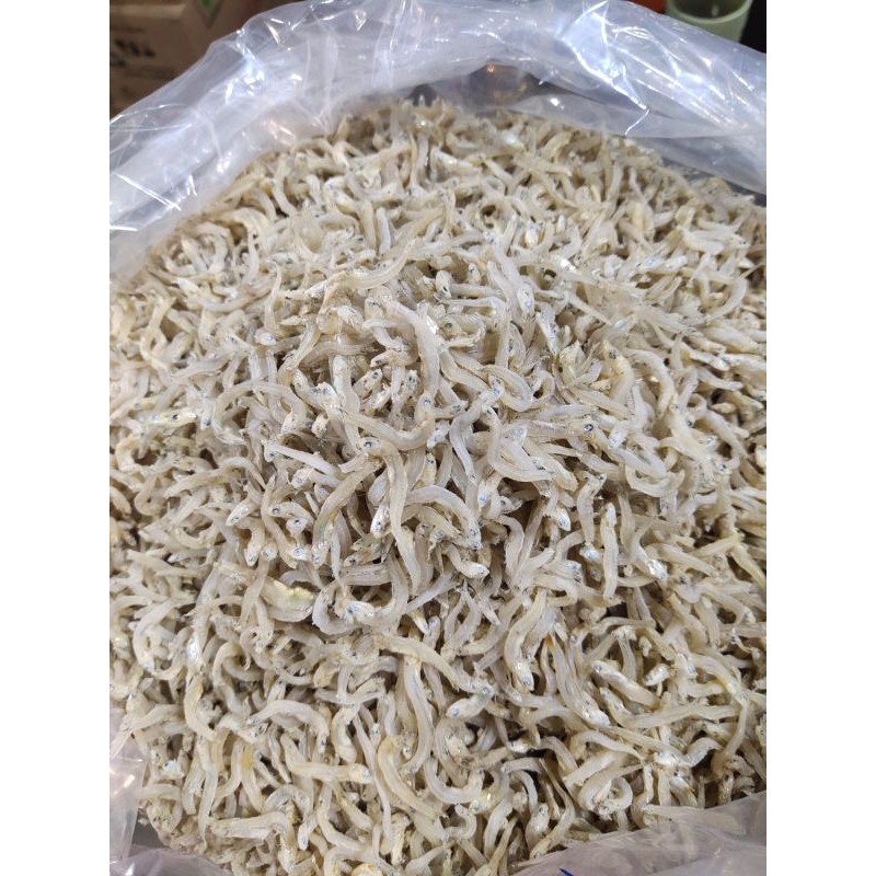 

Teri nasi/teri pulau jambi