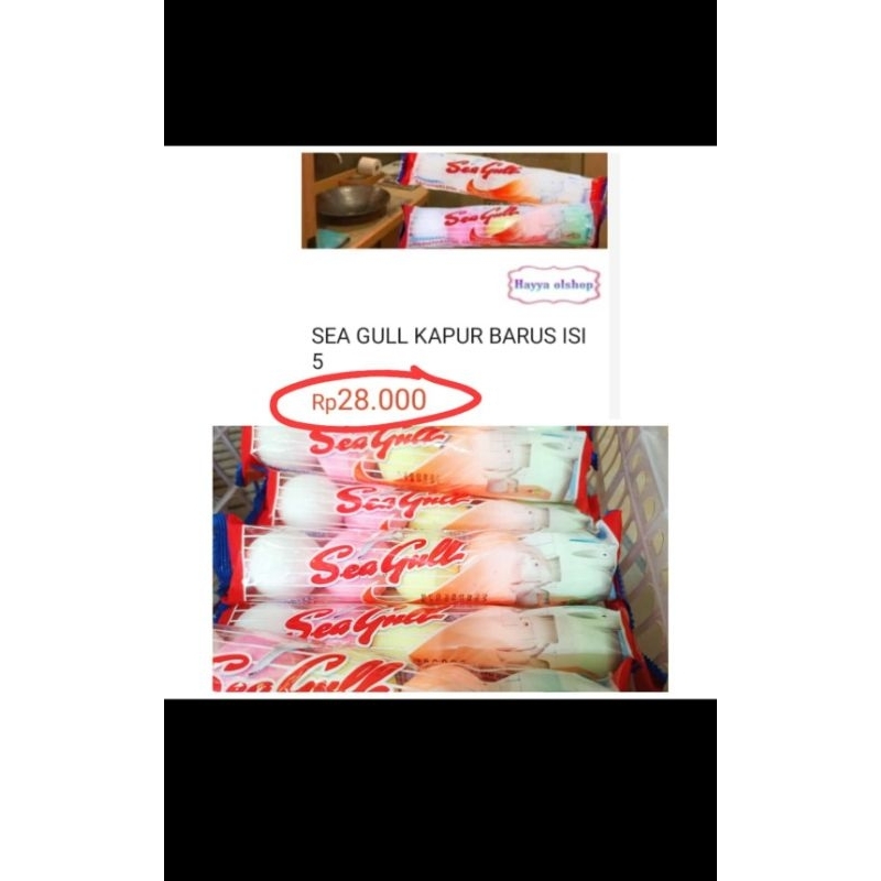 

SEA GUL KAPUR BARUS ISI 5 ✅