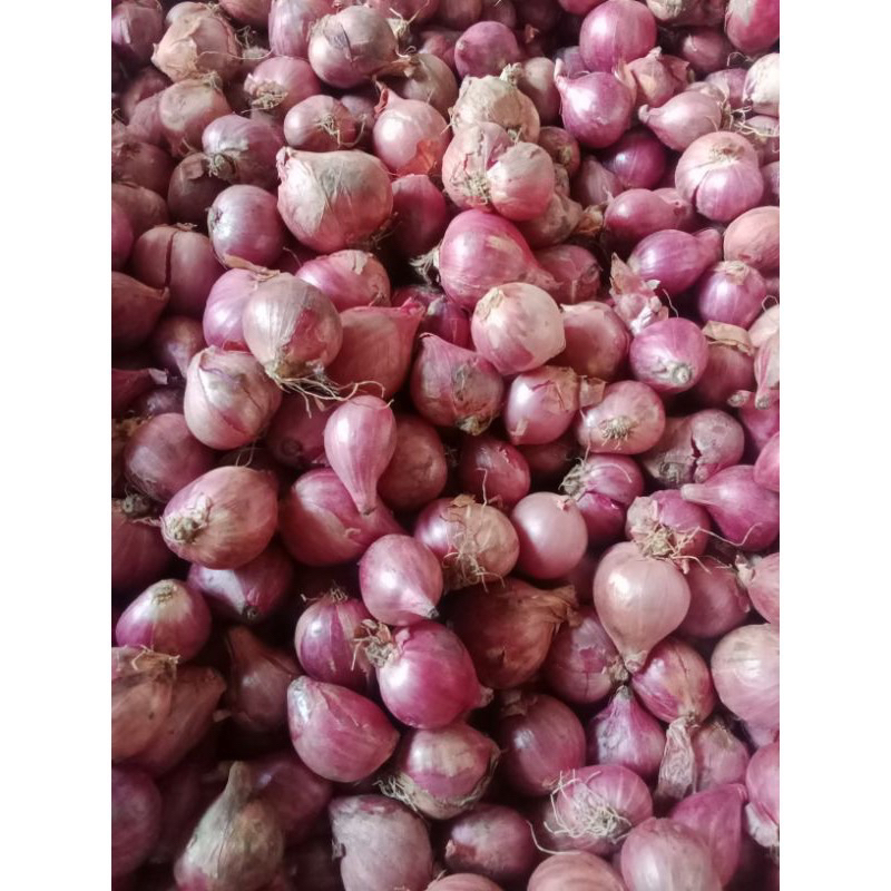 

bawang merah probolinggo super 1kg