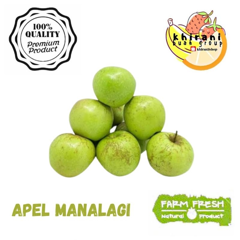 

APEL MANALAGI / APEL MALANG MANALAGI