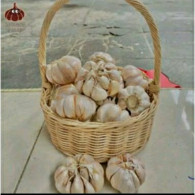 

BAWANG PUTIH 1KG