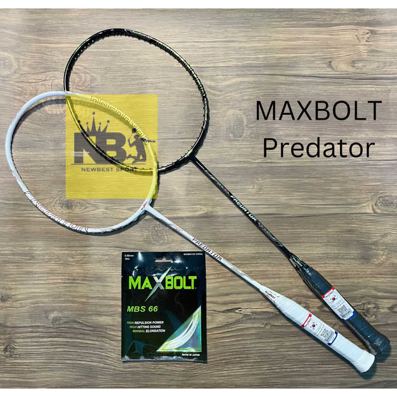 Raket Maxbolt Predator Original